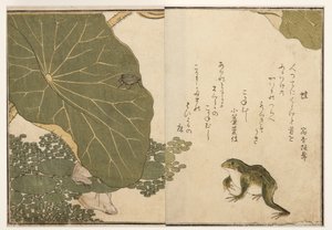 Kikkers en gouden insectenkever, 1788
